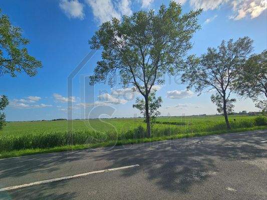 Ausblick Richtung Holland