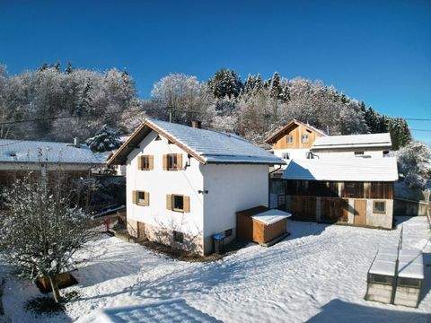 Peiting Häuser, Peiting Haus kaufen