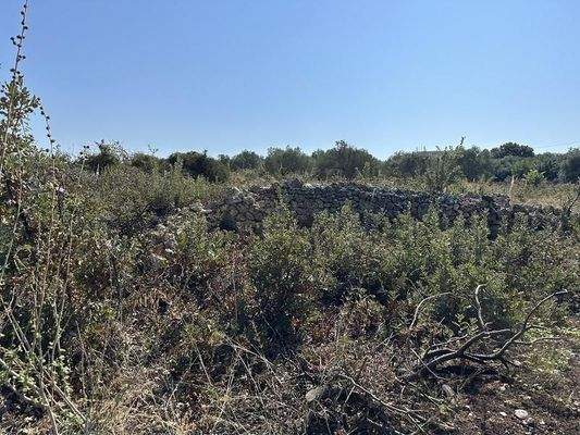 Kreta, Gallos: Erstklassiges Grundstück mit Meerblick zu verkaufen