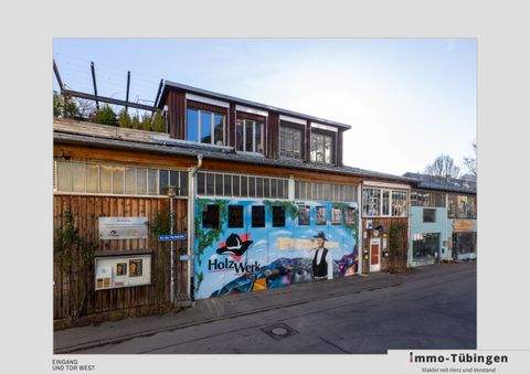 Tübingen Halle, Tübingen Hallenfläche