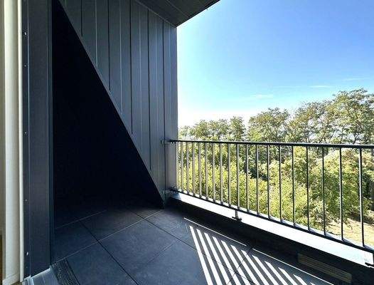 Loggia mit Blick auf den Schlossgarten/ Goitzsche-See