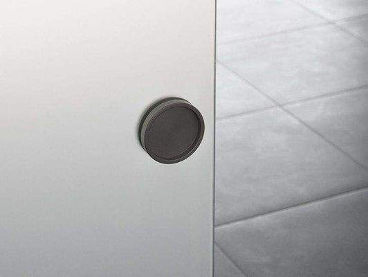 13_Satinierte Ganzglastüren.jpg