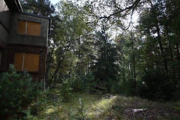 verwunschener Eingangsbereich.JPG