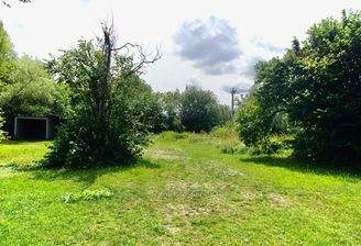 Großen Sonnigen Garten