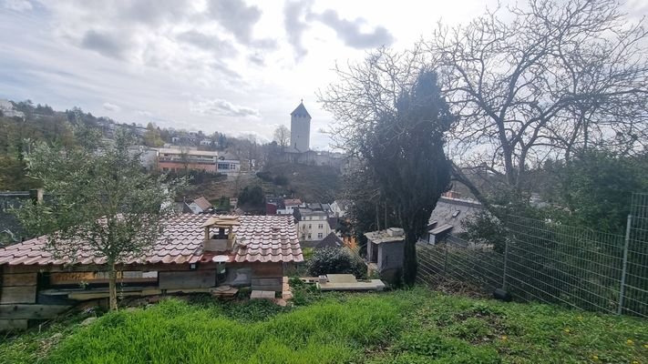 Fernblick vom Garten