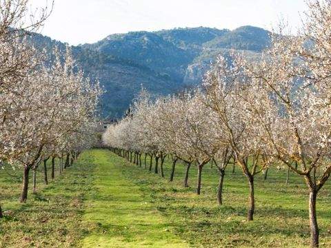 Inca Grundstücke, Inca Grundstück kaufen