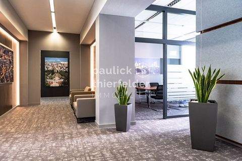 Bad Lausick Ladenlokale, Ladenflächen 