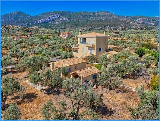 a608610607c946d5932fa82408a8047a-original