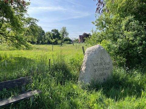 Dörverden Bauernhöfe, Landwirtschaft, Dörverden Forstwirtschaft