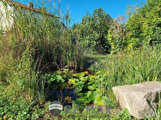 EFH 2000 16 Goldfischli