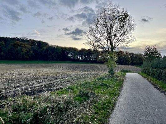 Naherholung Hasselholz