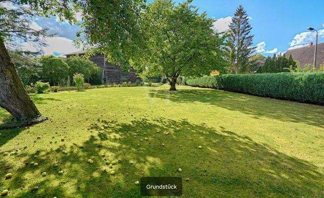 Grundstück.jpg