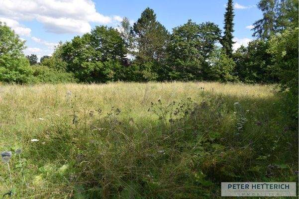 Ansicht ins Grundstück