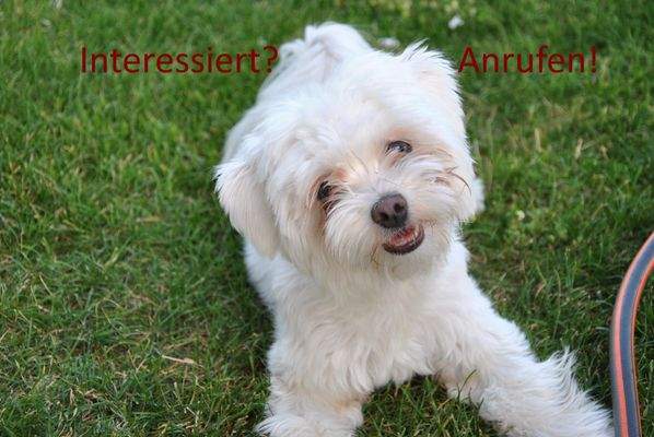 Interessiert? Anrufen!