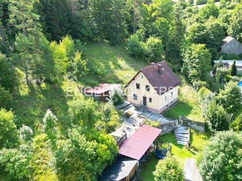 Kallmünz Häuser, Kallmünz Haus kaufen