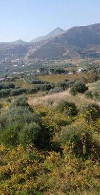 Kreta, Ano Kalesia: Rohbau - Einfamilienhaus zu verkaufen