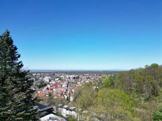 einmaliger Blick in die Umgebung