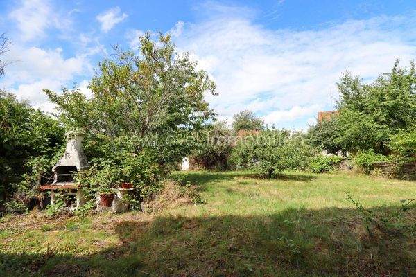 Blick in den Frucht-Garten