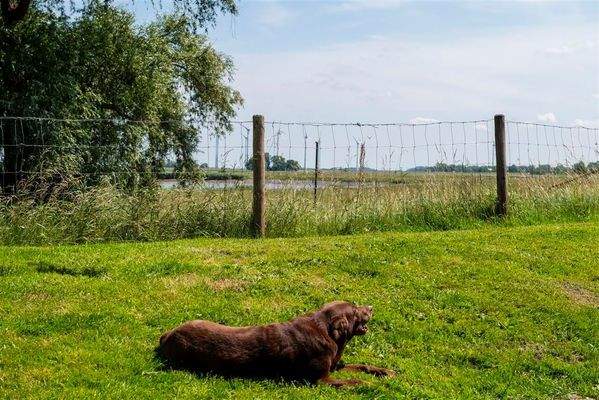 Hier fühlen sich alle wohl