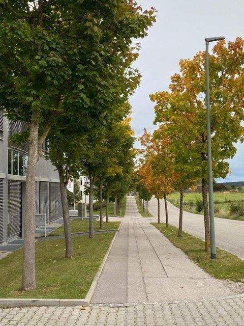 Weßling Halle, Weßling Hallenfläche