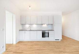 moderne Einbauküchen