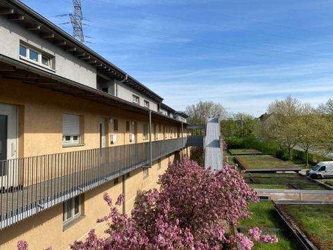 Gelsenkirchen Wohnungen, Gelsenkirchen Wohnung mieten