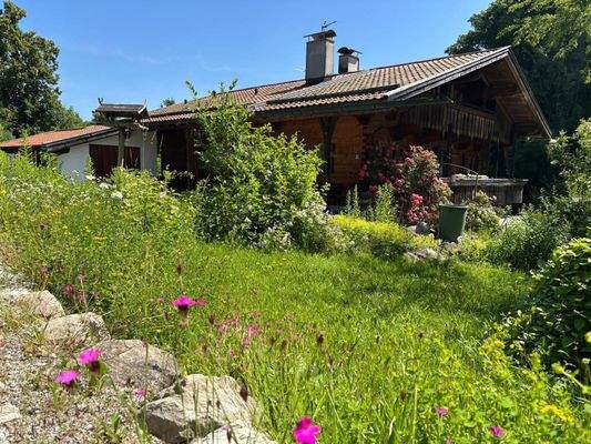 Außenansicht mit Garten