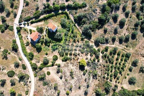 930f6a88c8204c8bb82a404bb2cbaf2e-original