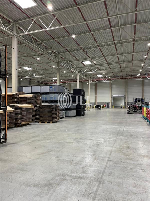 Bad Rappenau Halle, Bad Rappenau Hallenfläche