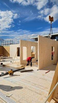 NEU Penthaus - Aufrichten Vollholzwände 