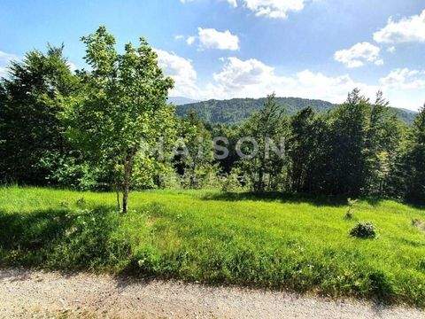 Ravna Gora Bauernhöfe, Landwirtschaft, Ravna Gora Forstwirtschaft