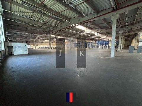 Hamburg Halle, Hamburg Hallenfläche