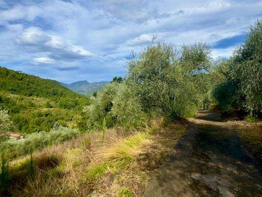 AP976_23 TERRA ITALIA IMMOBILIEN_TERRA ITALIA IMMO