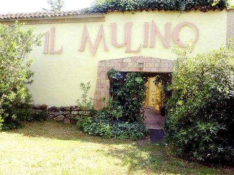 Arzachena Häuser, Arzachena Haus kaufen