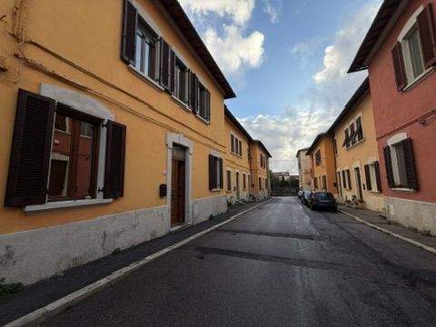 C3D8EC0E-1965-4E3A-8866-A664391D1C82_4_5005_c