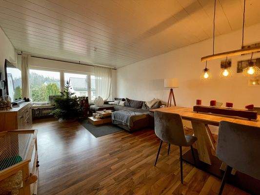 Wohnzimmer DHH links