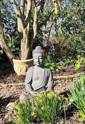 Aussen garten Buddha.jpeg