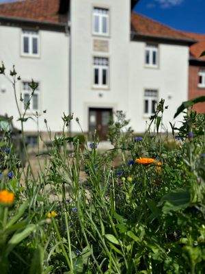 Haus mit Gartenansicht