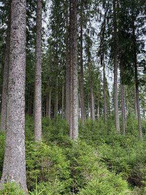 2025-07-22 14.21.22.jpg