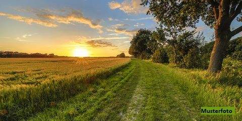Seevetal Bauernhöfe, Landwirtschaft, Seevetal Forstwirtschaft