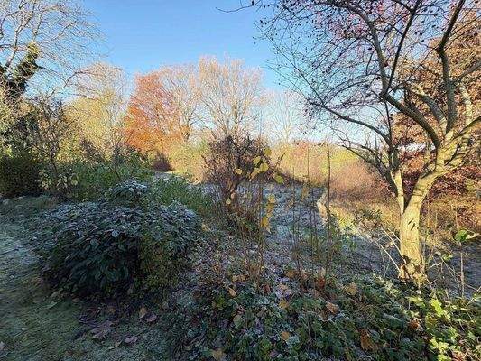 Das Grundstück mit der Möglichkeit, es zu pachten