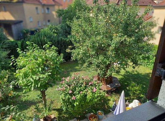 Blick vom OG in den Garten