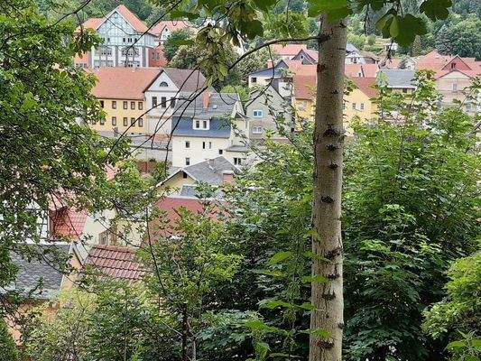Blick aus dem Garten von ganz oben