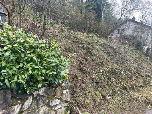 Baugrundstück in Schönecken