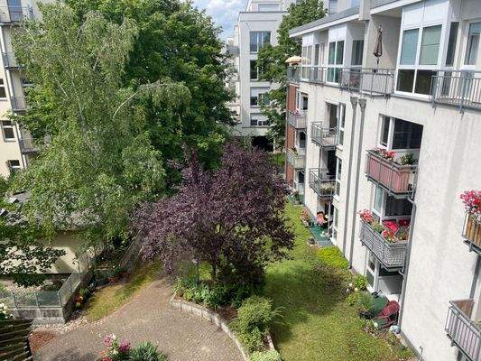 Grüner Gemeinschaftsgarten