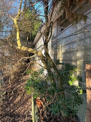 Hausansicht seitlich