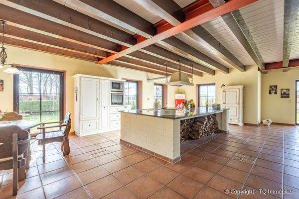 Wohnküche / Kücheninsel