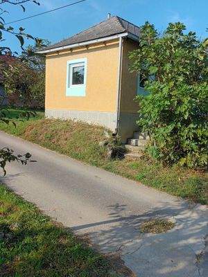 20230925_160829[1] (1).jpg