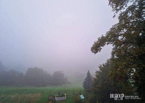 Blick im Nebel nach Nordost.jpg