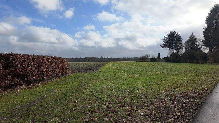 Blick auf das Wohngrundstück 